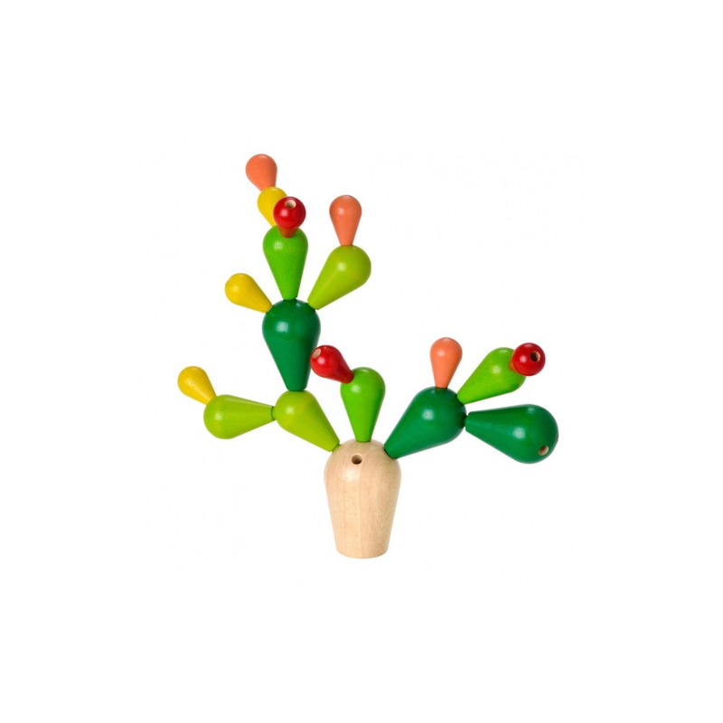 Cactus equilibrista Plantoys